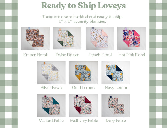 One of a Kind Non Personalized Lovey Blankets